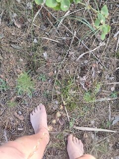 Pisss 2