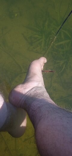IMG_20260809_111827.jpg