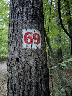 IMG_1759.jpeg