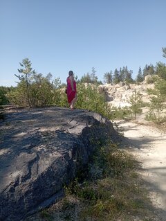 IMG_20260809_153505.jpg