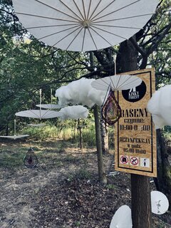 KINKY FOREST