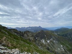 IMG_7425.jpeg