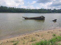 20260811_100852.jpg