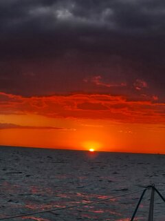 20260812_053451.jpg
