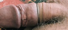 IMG_20260812_172222.jpg