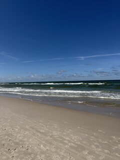 IMG_2369.jpeg