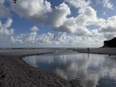 IMG_2361.jpeg