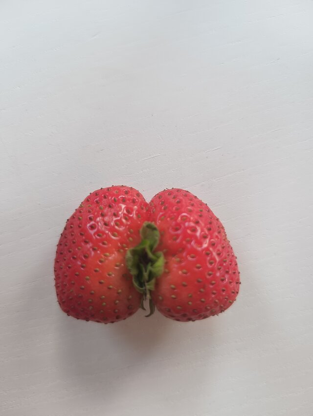 _Dama_Pik