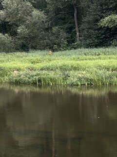 IMG_0941.jpeg