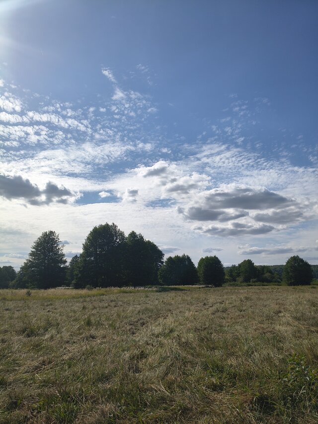 Golaska85