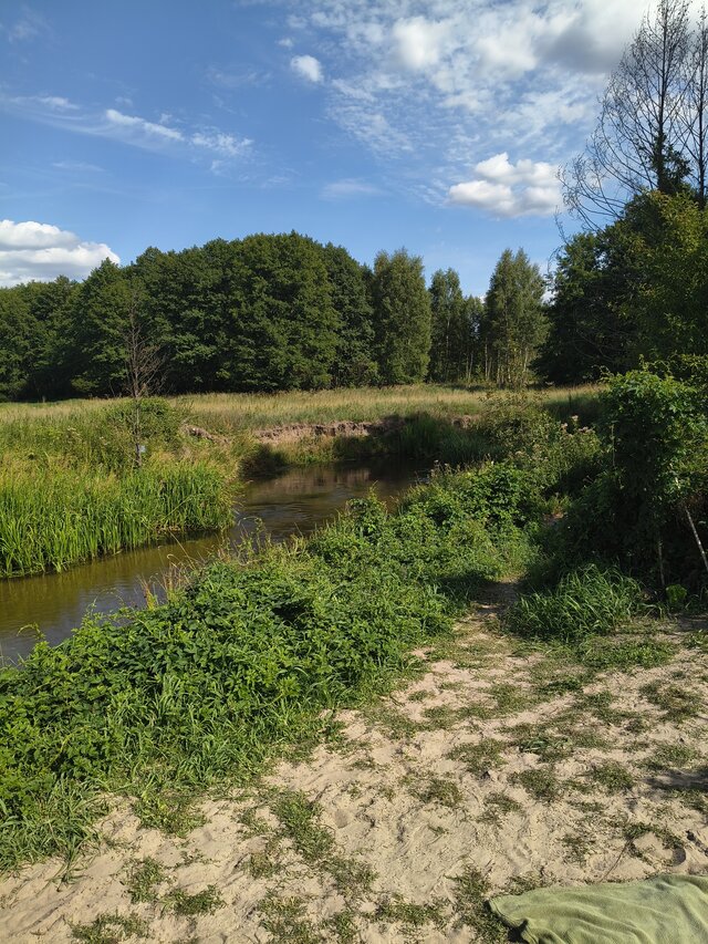 Golaska85