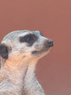 IMG_6489.jpeg