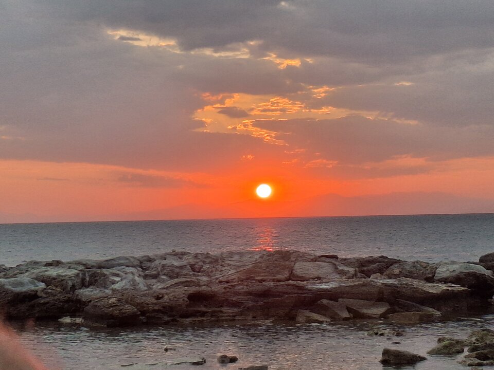 1000083586.jpg - Nago2026