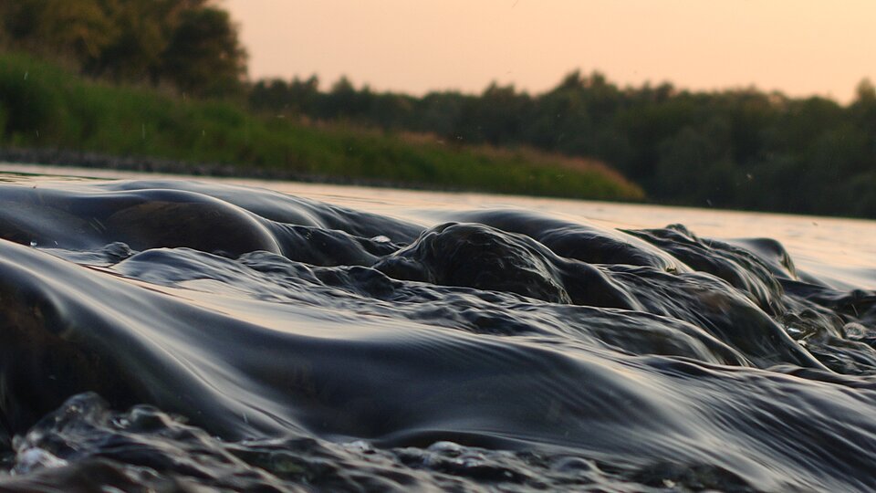 21745.jpg - Natural_Freedom