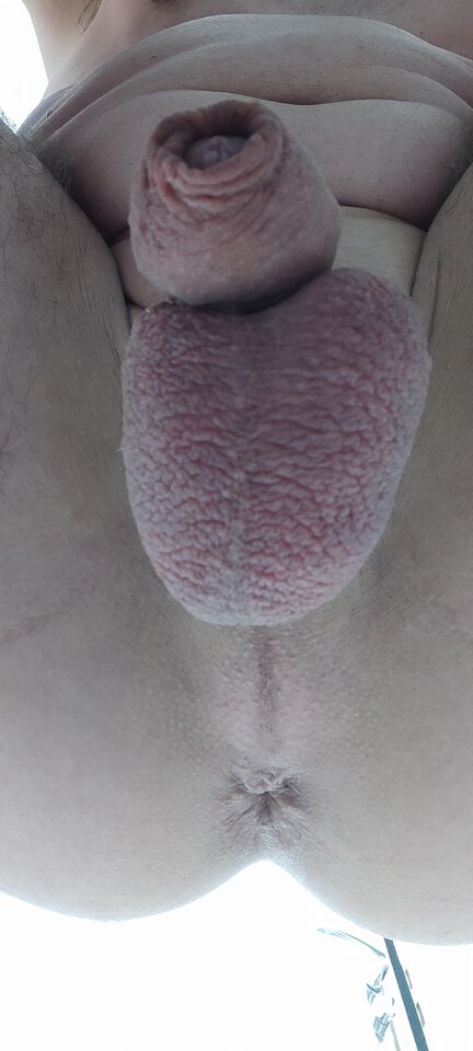 1785812372677.jpg - bi32slupsk