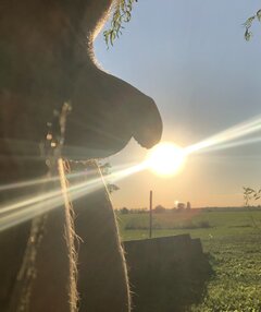 IMG_4207.jpeg