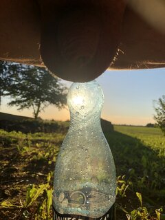 IMG_4217.jpeg