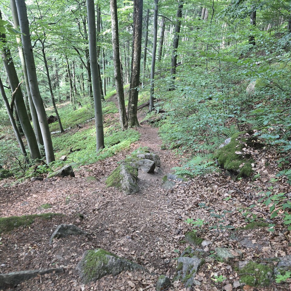 20260729_143108.jpg - LubieRealnych