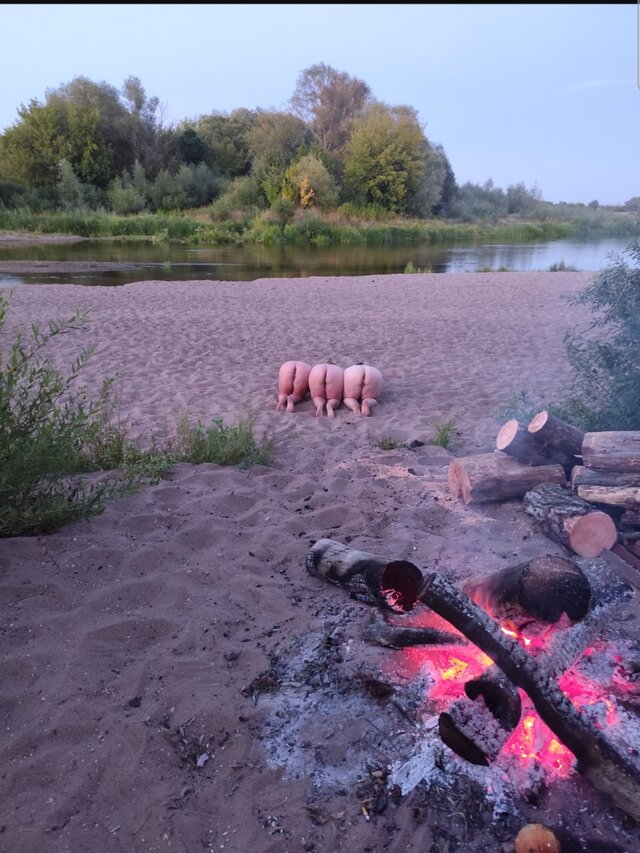 hotka_i_misiek