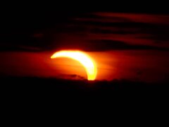1000050412.jpg