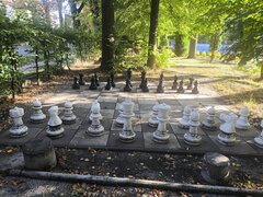 1000010483.jpg