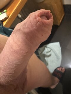 IMG_2937.jpeg