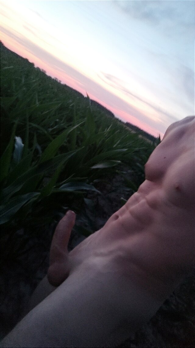 Pawel_lbnn
