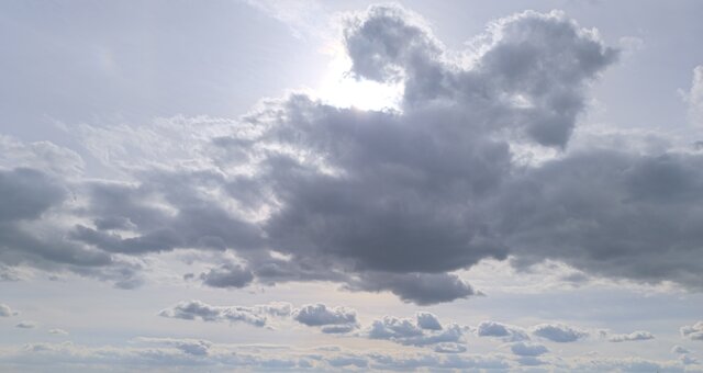 Sensitivdream