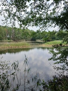 20260816_134609.jpg