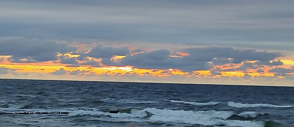 20220805_205315.jpg - lexipl