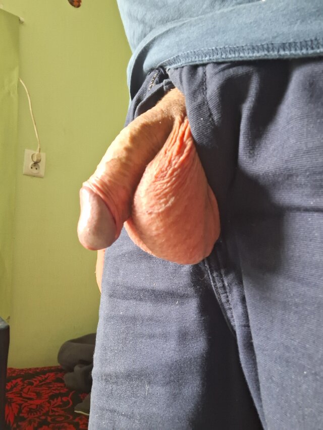 Olesnica50