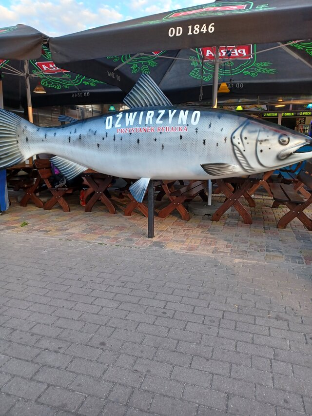 rozmowa_kontrolowana