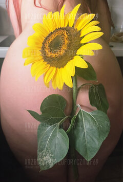 🌻