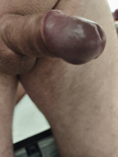 2586.jpg
