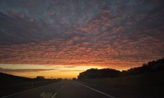20260813_050648.jpg