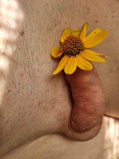 20260817_115531.jpg