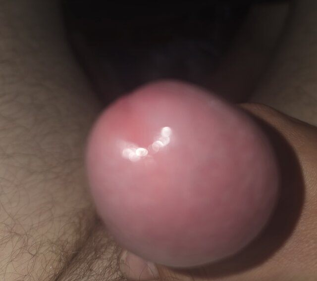 FanRajstopOrazPonczoch
