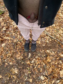 IMG_6084.jpeg