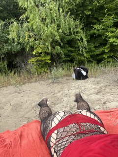 IMG_6351.jpeg