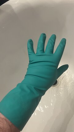 IMG_1167.jpeg