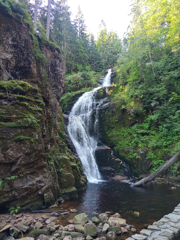 20260807_092122_HDR.jpg - ryb50