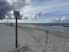 IMG_6655.jpeg