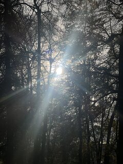 IMG_7225.jpeg