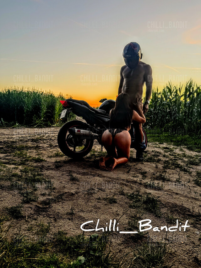 Chilli_Bandit
