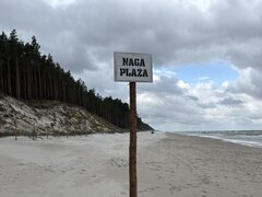 IMG_0019.jpeg
