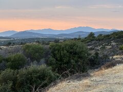 IMG_0487.jpeg
