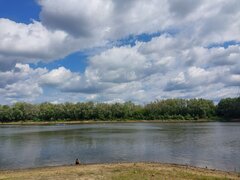 20260819_110158.jpg