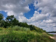 20260819_110210.jpg