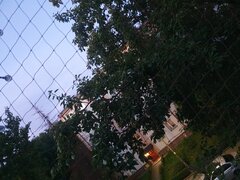 20260820_051400.jpg