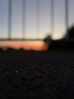 IMG_2793.jpeg